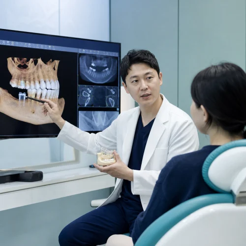 위례치과 위례 임플란트 진료 여권: 검사·대안·유지관리 전달 대표 이미지